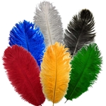 Plumes / Feathers - Small M15551