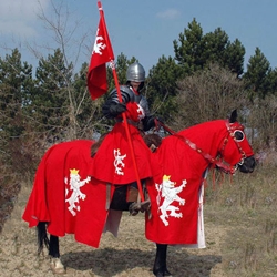 Horse Trapper with Lion Rampant Charge
